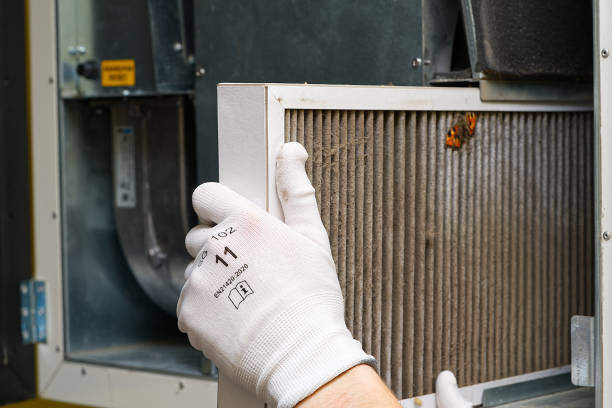 Best Air Duct Cleaning Near Me  in Bell Nyon, CA