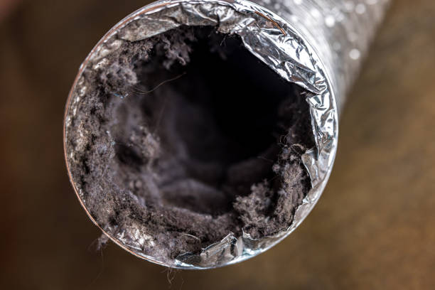 Best Air Duct Cleaning Near Me  in Bell Nyon, CA