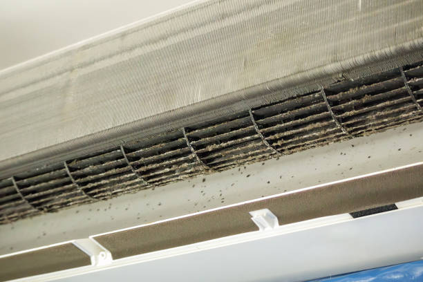 Best Affordable HVAC Duct Cleaning  in Bell Nyon, CA