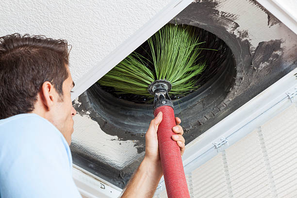 Best Air Duct Cleaning Company Near Me  in Bell Nyon, CA